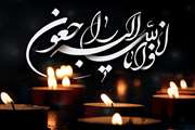 پیام تسلیت رئیس بیمارستان مرکز طبی کودکان به دکتر محیاسادات محمدی