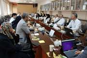 نشست هم‌اندیشی معاونان گروه کودکان با اعضای هیئت علمی دانشیار بیمارستان مرکز طبی کودکان