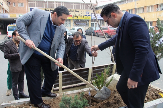 گرامیداشت روز درختکاری در بیمارستان مرکز طبی کودکان 